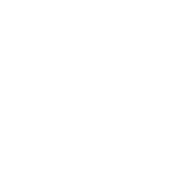 Icon einer Perlen-Kette (weiss)